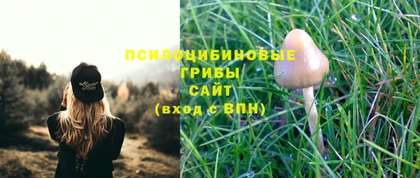 каннабис Аркадак